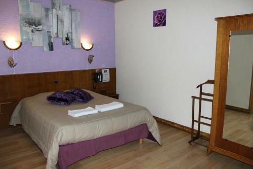 Hotel H�tel Des Alli�s
