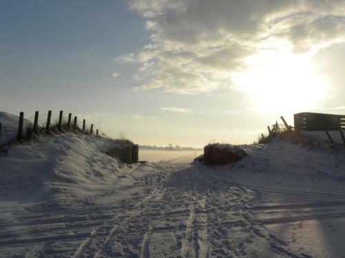 Bed & Breakfast Waddenhoes Gastenverblijven