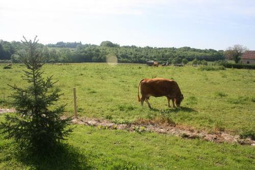 Bed & Breakfast B&amp;b Le Relais De Chantecor