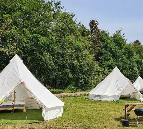 4 Meter Bell Tent - Up To 4 Persons Glamping 9