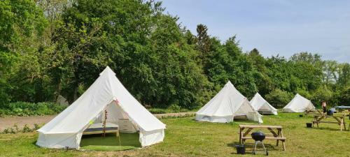 4 Meter Bell Tent - Up To 4 Persons Glamping 8
