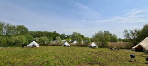 Personal Pitch Tent 6 Persons Glamping 12
