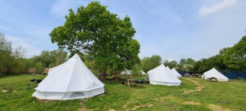 4 Meter Bell Tent - Up To 4 Persons Glamping 10
