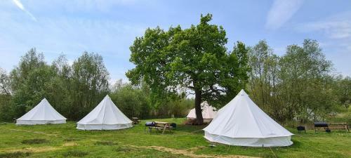 4 Meter Bell Tent - Up To 4 Persons Glamping 2