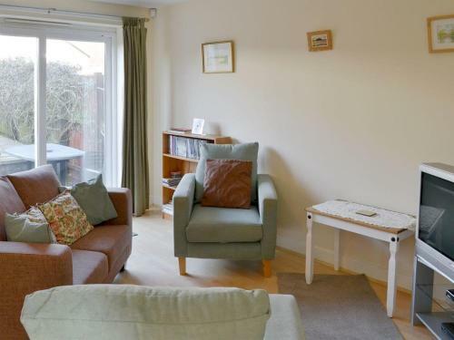 Turnstone