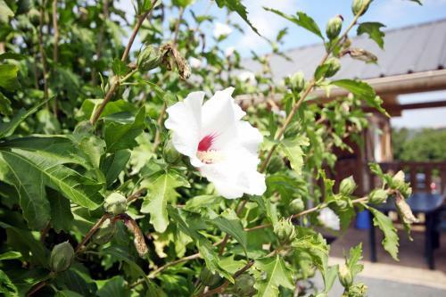 Camping Domaine Vall�e Du Tarn