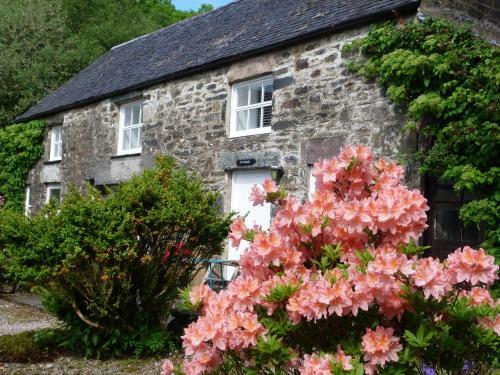Bed & Breakfast The Steading At Barmore