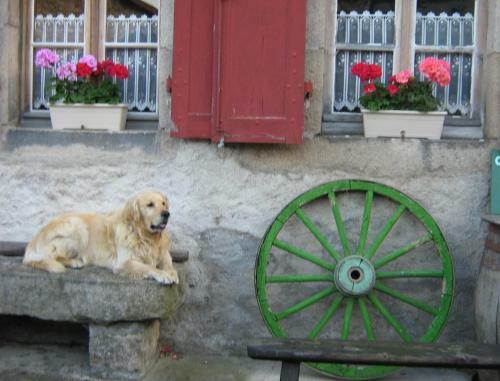 Bed & Breakfast Le Relais De La Diligence