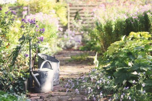 Bed & Breakfast Le Bonheur � La Campagne