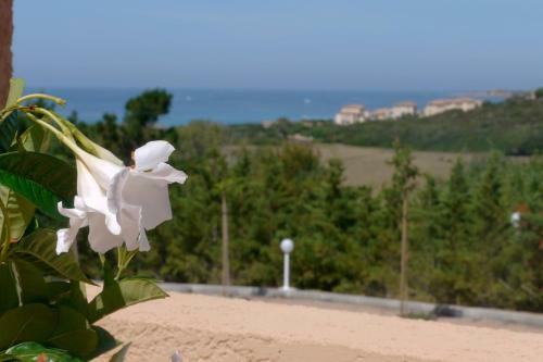 Apartamento R�sidence De Tourisme Mare � Macchia