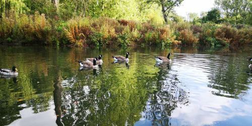Kingfisher Lodge-huntersmoon -warminster-longleat-bath