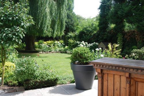 Bed & Breakfast Demeure Des Buis