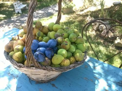 Agroturismo Agriturismo La Svolta