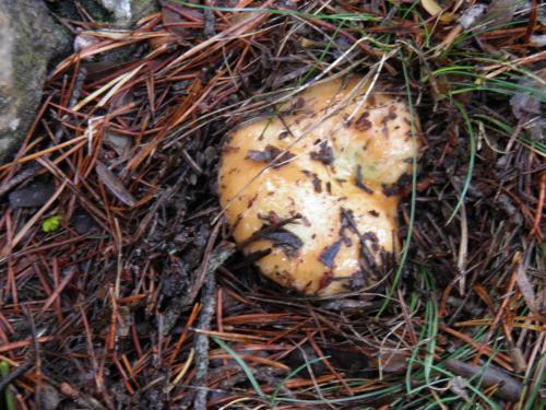 Hotel Torres De Albarracin