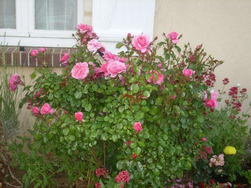 Bed & Breakfast La Maison De Printemps