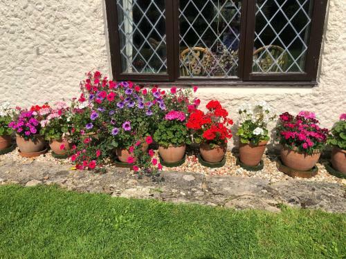 Bed & Breakfast Chaseborough Farm