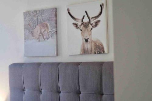 Apartamento Initial - Moose - Chutes-montmorency