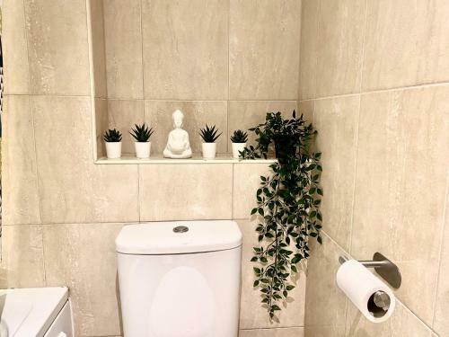Entire Central Windsor Apartment With Free Parking!
