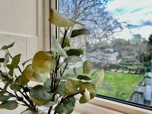 Entire Central Windsor Apartment With Free Parking!