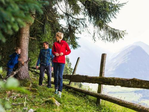 Apartamento Holiday Flat Rammler, Hollersbach