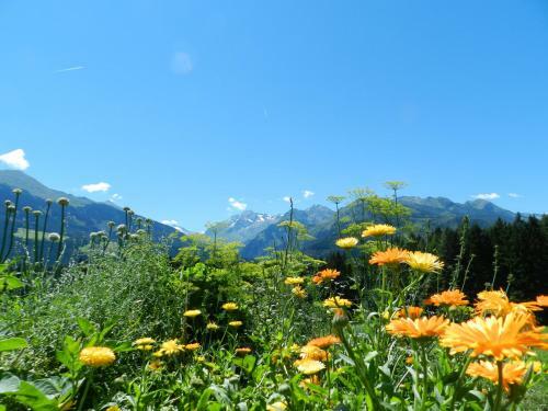 Agroturismo Biohof Vorderreith