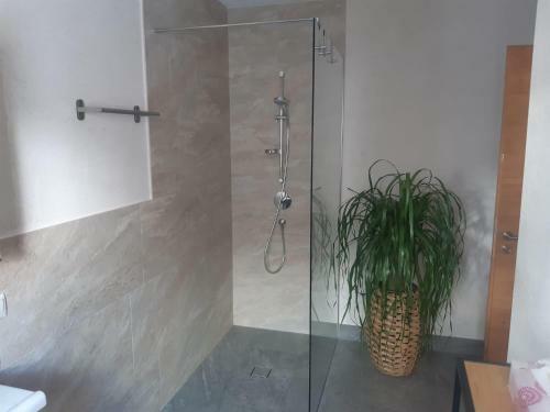 Apartamento Ferienwohnung Wieser