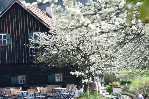 Bed & Breakfast G�stehaus-temmel-kitzeck