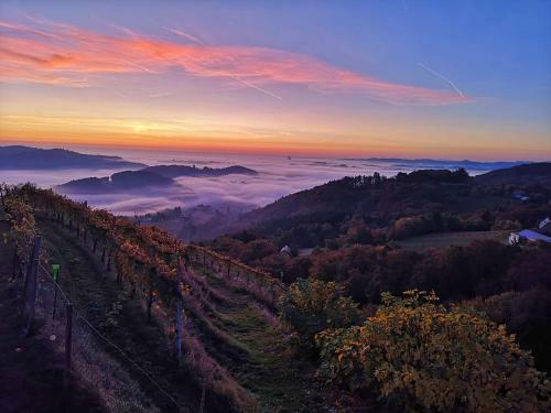 Bed & Breakfast Weingut Albert, Familie Cramer