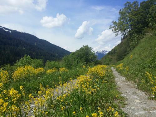Apartamento Appartements Burtscher