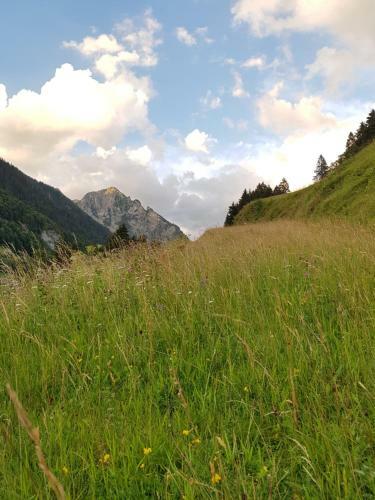 Apartamento Appartements Burtscher