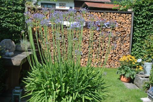 Apartamento Haus Christopherus