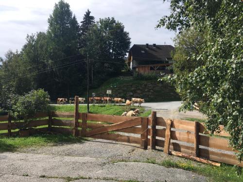 Apartamento Bei Annelie