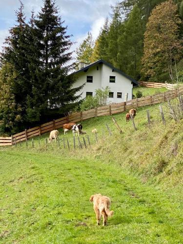 Apartamento Bei Annelie
