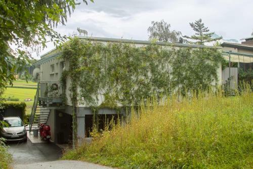 Apartamento Am Sonnigen Waldrand