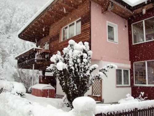 Apartamento Ferienwohnung Raunegger