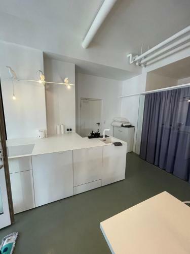 Main Station Design Loft Style Apartment