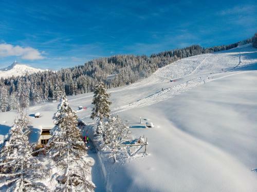Apartamento Berggasthof Staudachstub'n