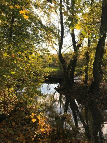 Votre Pause Arbor�e - La Cabane Enchant�e
