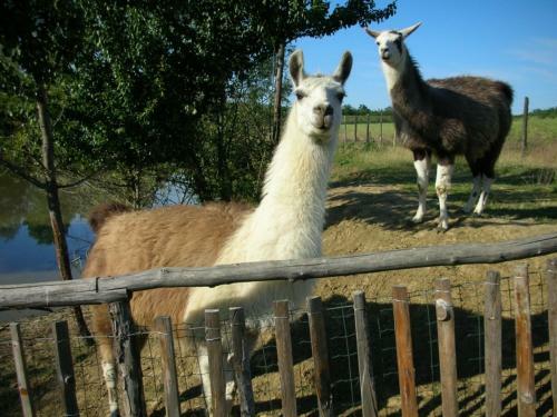 Agroturismo Cascina Beneficio
