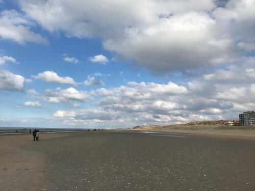 Apartamento Koksijde App Zeelaan C4