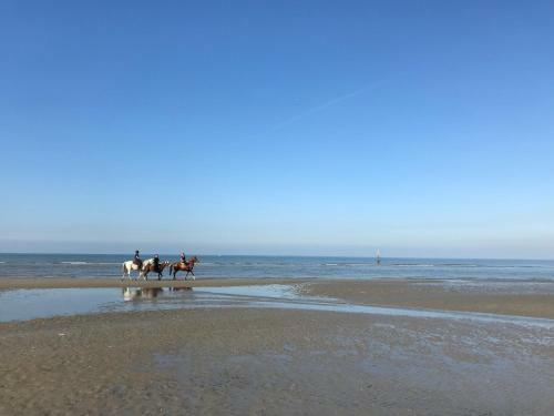 Apartamento Koksijde Zeedijk Res Manh