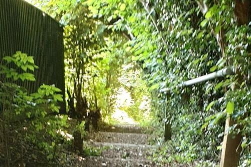 Bwthyn Bach (tiny Cottage)