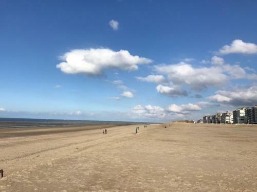 Apartamento Koksijde App Zeelaan B3