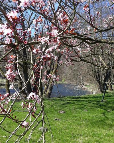 Bed & Breakfast Vall�e De L'ourthe