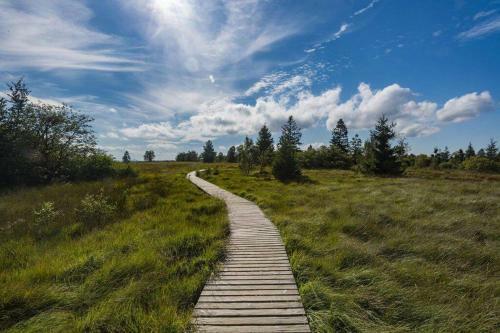 La Harde 31 Pers Malmedy, Vue, Wellness, Jardin