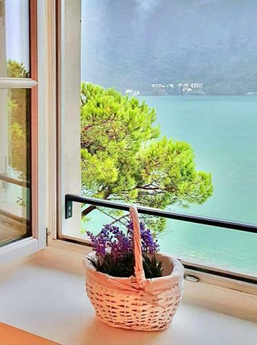 Apartamento Il Cuore Nel Lago