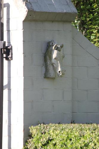 Maneschijn****