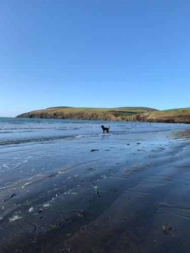 Cynefin, A Delightful Cottage In Newport, Pembs.