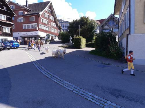 Hotel Gasthaus Gemsli