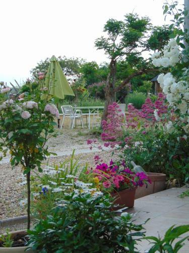 Bed & Breakfast La Ferme Aux Oies